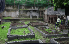 ฟาร์มเกษตรอะควาโปนิกส์ในฟิลิปปินส์