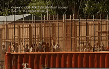 ออสเตรเลียควบคุมความสงบค่ายกักกันผู้ลี้ภัย