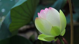 ปฏิทินวันพระ 2562 เดือนมีนาคม