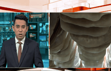 รัฐเปิดรับซื้อยางจากเกษตรกรวันนี้วันแรก