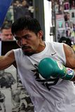 Manny วีรบุรุษสังเวียนโลก