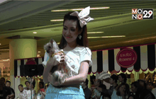 Bangkok Pet Charity 2015