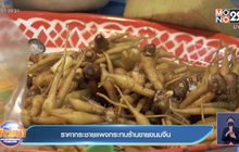 กระชายแพงกระทบร้านเครื่องดื่มสมุนไพร