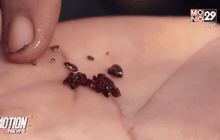 ฝนตกหนักชะพลอยลงมาจากภูเขา จ.ตราด