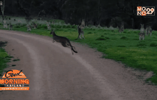 หนุ่มนักปั่นใจกล้าขนาดนั้นเลยหรือ?