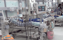 เด็กชาวลำปางหมดสติ หลังกินดอกไม้พิษ