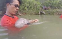 เฝ้าระวังอาการ “มาเรียม” ช็อกหัวใจหยุดเต้น