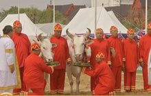​พระโคเสี่ยงทาย กินข้าว-น้ำ-หญ้า พืชผลสมบูรณ์-น้ำพอดี