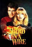 Bird on a Wire ดับอำมหิต