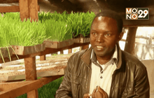 เกษตรกรเคนยากับการปลูกผักไฮโดรโปนิกส์