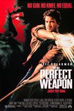 The Perfect Weapon เดอะเพอร์เฟคเวปปอน
