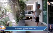 เจ้าของผวา งูบุกล่าแมวถึงในบ้าน