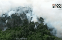 อินโดฯ คาดแก้ปัญหาไฟป่าได้ภายใน พ.ย.