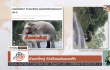 MTHAI update 09-02-61