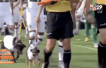 แข้งเซาเปาโลจูง “สุนัข” เดินลงสนาม