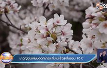 ชาวญี่ปุ่นแห่ชมดอกซากุระที่บานเร็วสุดในรอบ 70 ปี