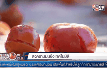 Welcome World Weekend 20-02-59