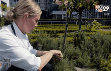 โรงแรมเพื่อสิ่งแวดล้อมในแวนคูเวอร์