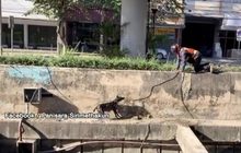 วินจยย.ใจพระช่วยสุนัขตกน้ำ