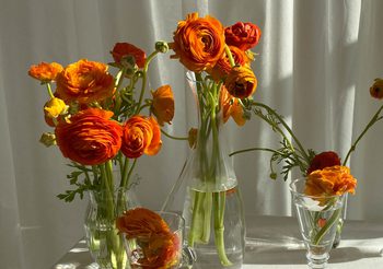 4 ดอกไม้ที่มีความหมายสุดโรแมนติก สำหรับมอบให้คนรักของคุณในวันวาเลนไทน์