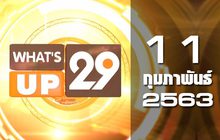 What’s up 29 11-02-63