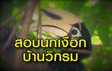 The Day News Update 14-06-59