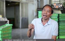 Next Millionaire ธุรกิจพิชิตรวย ตอน : “เอนกฟาร์ม” ชูไข่นกกระทาสินค้าพื้นบ้านแปรรูปสู่ตลาดส่งออก
