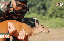 Five minutes Bighero : น.สพ.ภัทรพล มณีอ่อน HERO  ผู้พิทักษ์สัตว์ป่า ตอนที่ 5/5