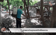 ช่วยชาวบ้านถูกแมลงปีกแข็งรบกวน