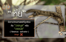 ราชบัณฑิตยืนยัน”เหี้ย”เป็นศัพท์ทางการ