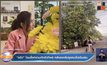 “แต้ว” โดนตั้งคำถามกักตัวทิพย์ หลังลงคลิปจูงหมาไปเดินเล่น 