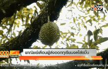 พาณิชย์เตือนผู้ส่งออกทุเรียนงดใส่ขมิ้น