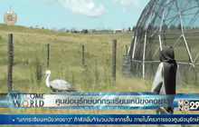 ศูนย์อนุรักษ์นกกระเรียนเหนียงคอยาว