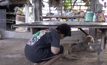 เยาวชนรับเลียนแบบคลิปที่นำยาให้สุนัขกินจนมีอาการสั่น