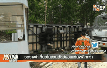 รถรางนำเที่ยวในสวนสัตว์ขอนแก่นพลิกคว่ำ