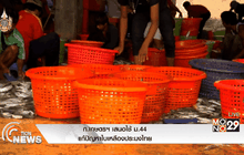 ก.เกษตรฯ เสนอใช้ ม.44 แก้ปัญหาใบเหลืองประมงไทย