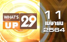 What’s up 29 11-04-64