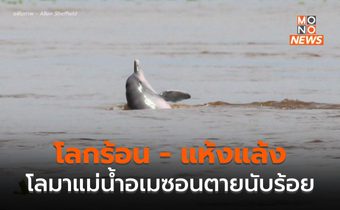 โลมาแม่น้ำอเมซอน ตายนับร้อย คาดเป็นผลมาจากโลกร้อน – แห้งแล้ง