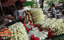 ราคาดอกมะลิวันแม่ปีนี้ทรงตัว