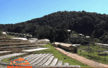 โครงการหลวงเตรียมแปลงผักหลากสีต้อนรับนักท่องเที่ยว