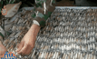 อึ้ง! พบของขลัง-ตะกุดเสือนับพันชิ้นในวัดป่าหลวงตาบัว