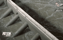 ปล่อยน้ำเสียลงแม่น้ำเจ้าพระยา