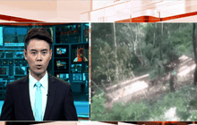 Motion News Break 1 (26-10-58)