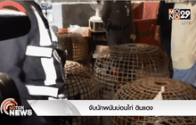 จับนักพนันบ่อนไก่ ดินแดง