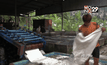 พาณิชย์เล็งดึงผู้นำเข้า 25 ประเทศซื้อยางพาราไทย