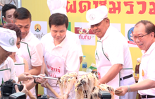เริ่มแล้วเทศกาลกินเจเยาวราช ผู้ว่าฯ โชว์ผัดหมี่แจก
