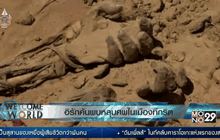 อิรักค้นพบหลุมศพในเมืองทีกริต