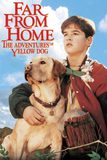 Far from Home: The Adventures of Yellow Dog เพื่อนรักแสนรู้