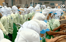 สศอ.คาดอีก 5 ปี ไทยจะขาดแรงงานเกือบ 3 แสนคน