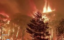 ไฟป่าออสเตรเลียยังคงรุนแรง